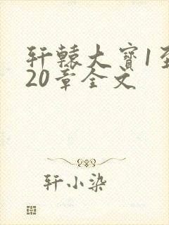 轩辕大宝1至720章全文