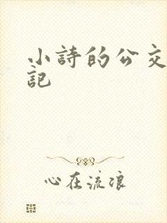 小诗的公交车日记