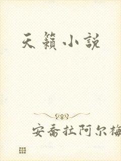 天籁小说
