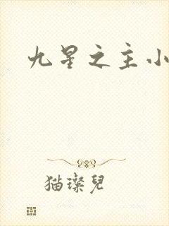 九星之主小说