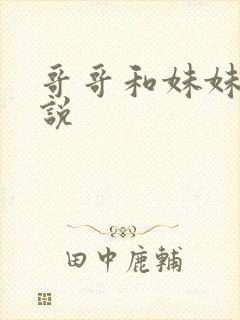 哥哥和妹妹的小说