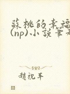 苏桃的幸福生活(np)小说笔趣阁沐沐