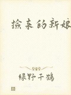 捡来的新娘