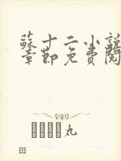 苏十二小说最新章节免费阅读全文