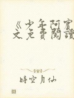 《少年阿宾》全文免费阅读