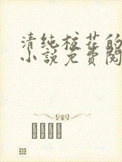 清纯校花的秘密小说免费阅读