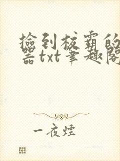 捡到校霸的遥控器txt笔趣阁