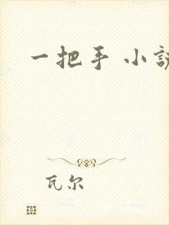 一把手 小说
