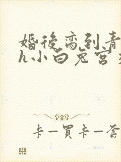 婚后脔到青梅哭h小白兔宫交h