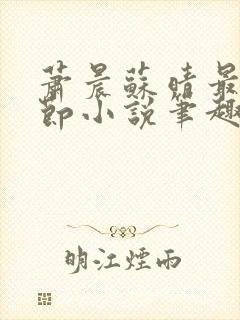 萧晨苏晴最新章节小说笔趣阁