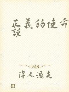 正义的使命 小说