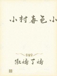 小村春色小说
