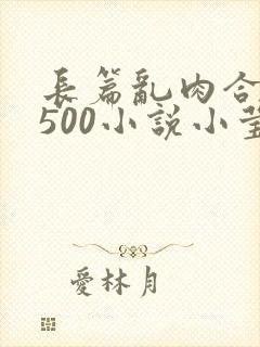 长篇乱肉合集乱500小说小莹