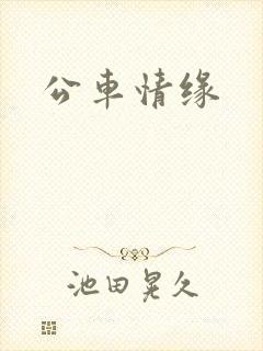 公车情缘