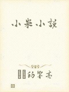 小米小说