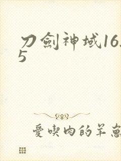 刀剑神域16.5