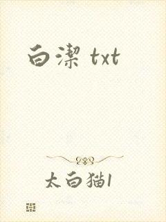 白洁 txt