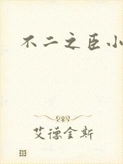 不二之臣小说