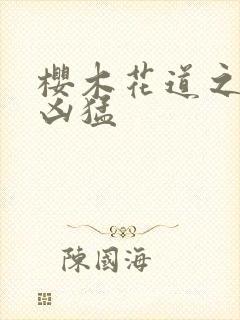 樱木花道之重生凶猛