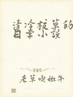 清冷校草的堕落日常小说