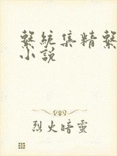 系统集精系统 小说