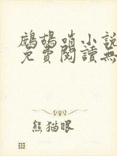 鹧鸪哨小说网站免费阅读无弹窗