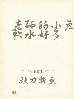 老师的小兔子好软水好多