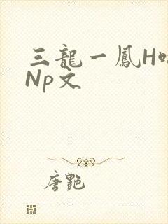 三龙一凤H啪肉Np文