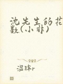 沈先生的花式调数(小非)