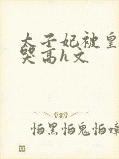 太子妃被皇上c哭高h文