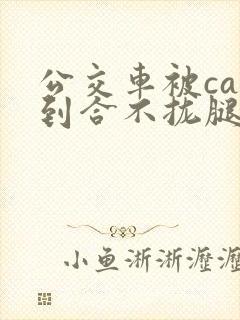 公交车被cao到合不拢腿视频