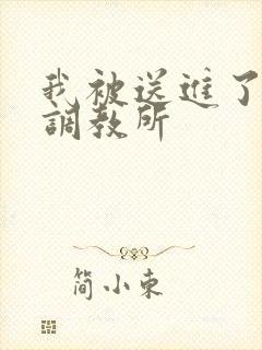 我被送进了私奴调教所