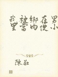 我被绑在男公厕里当肉便小说