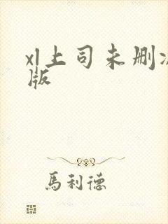 xl上司未删减版