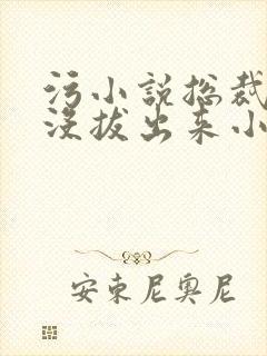 污小说总裁整夜没拔出来小说在线阅读