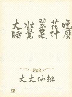 大壮翠花晚上不睡觉是什么电视剧