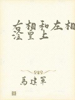 右相和左相一起淦皇上