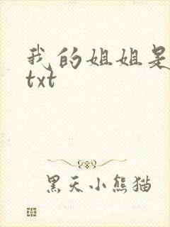 我的姐姐是美女txt