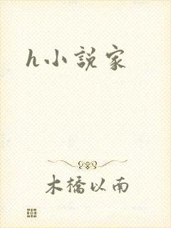 h小说家