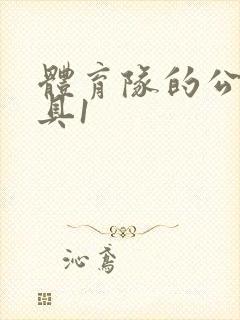 体育队的公用玩具1