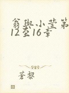 翁与小莹第十部12至16章