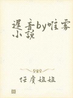 迟音by唯雾的小说