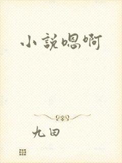 小说嗯啊