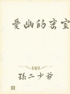 爱幽的密室小说