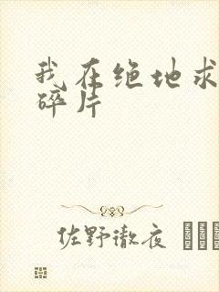 我在绝地求生捡碎片