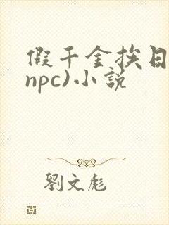 假千金挨日记(npc)小说