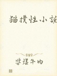 猫扑性小说