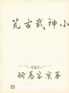 荒古武神小说