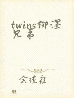 twins柳泽兄弟