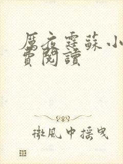 厉夜霆苏小汐免费阅读